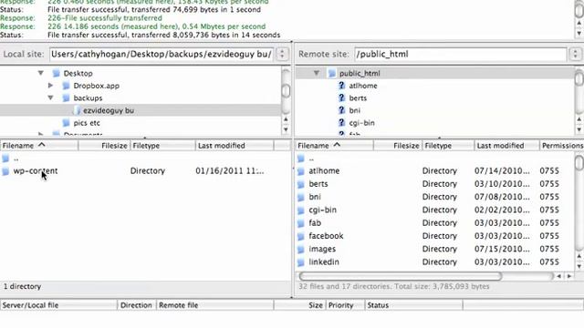 backup your WordPress files w ftp смотреть онлайн