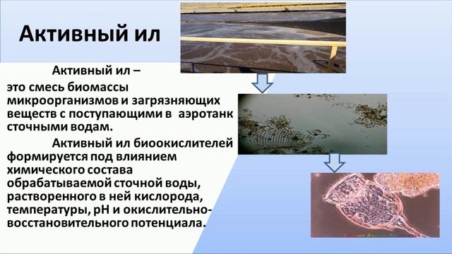 Сапарбекова А А Процесс биологической обработки Активный ил в очистке сточных вод смотреть онлайн