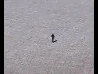 Снежный человек? смотреть онлайн