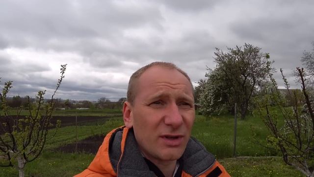 Міравіс від Моніліоз абрикос як супер препарат від всіх хвороб ? порівнюємо з іншим