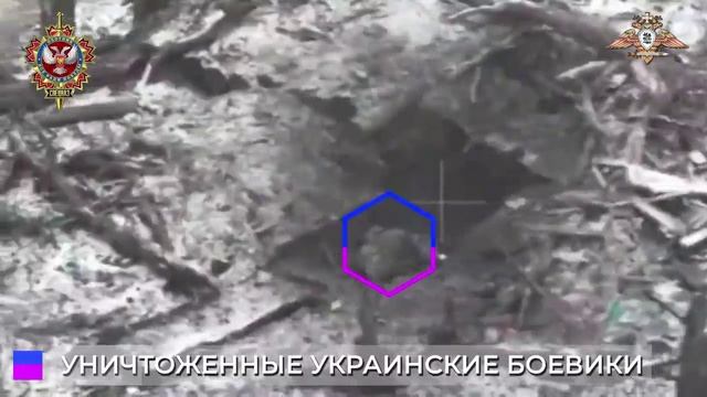 Добивание хохлов смотреть онлайн