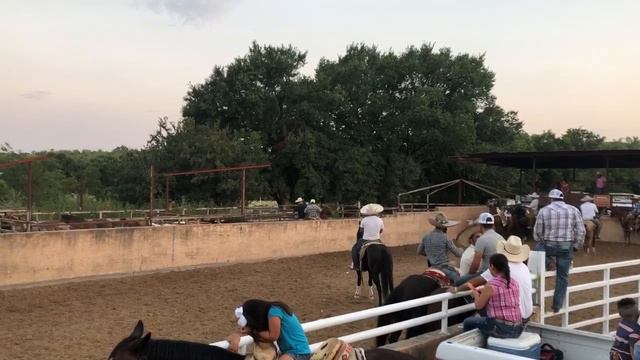 Chavelas lienzo en Fort Worth Tx смотреть онлайн
