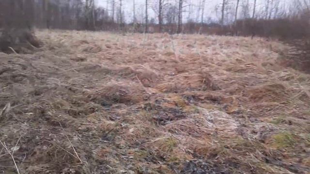 Подготовка к весне !