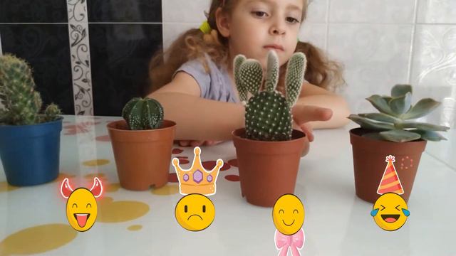 Имена Цветков Кактуса.игра.Забавный мальчик.смешной.ela И ilayda смотреть онлайн