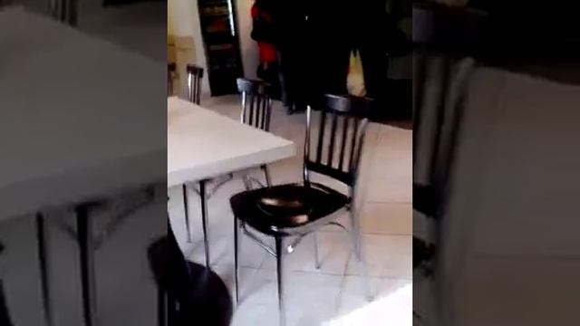 В одном из кафе в центре Оренбурга с кухни сбежали живые куры! смотреть онлайн