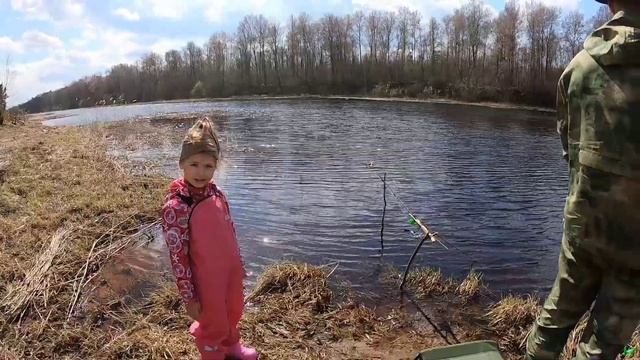 Рыболовный сабантуй. Новоладожский канал. #рыбалка #природа смотреть онлайн