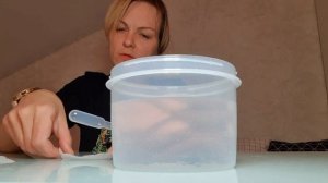 Для чего нужна социальная адаптация?