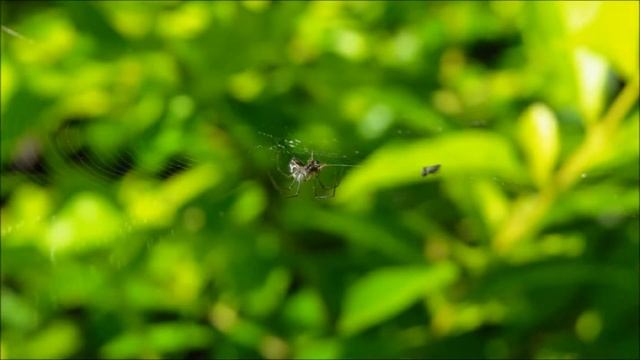 Fotos Tomadas Con Canon SX 50