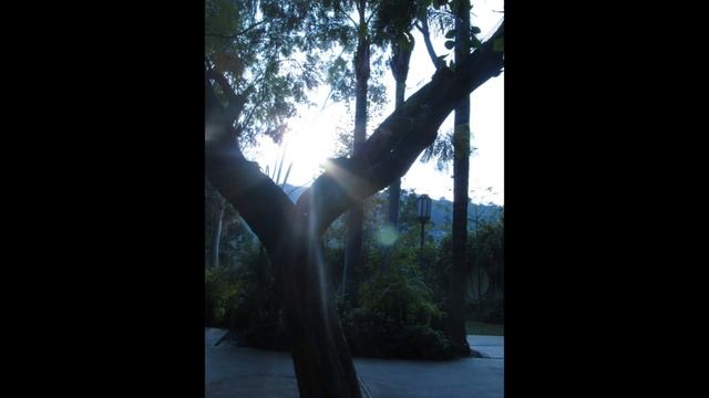 canon powershot sx150 is photo quality test смотреть онлайн