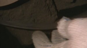 Ремень навесного оборудования honda jazz (хонда джаз) снятие и установка. Подробное видео по замене