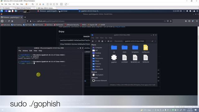 1. How to install the latest version Gophish v0.11.0 on Kali Linux. смотреть онлайн