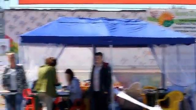 Всепородная выставка Фаворит 2015. Барнаул. Папийоны смотреть онлайн