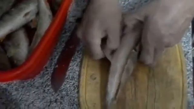 Как чистить окуня смотреть онлайн