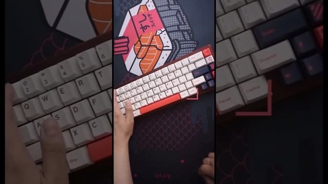 The Reigning Budget Tactile switch king? #akko #oceanblue #shorts смотреть онлайн