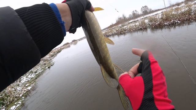 Рыбалка на реке с Zetrix Hayron.