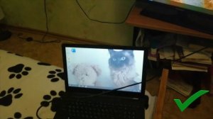 Как подключить любой телевизор к интернету