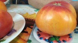 Крупноплодный сорт с красивыми плодами биколорами - Медово-розовый.