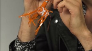 Chromeo Does An Insomnia-Inspired ASMR with Goodie Bags And Vegetables | Mind Massage | Fuse