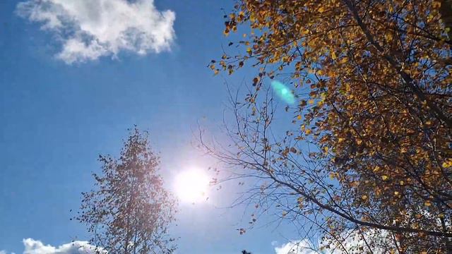 Incredible beautiful, stunning game of the Sun. Невероятно потрясающая, красивая игра Солнца смотреть онлайн