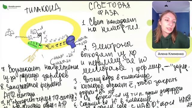 Фотосинтез смотреть онлайн
