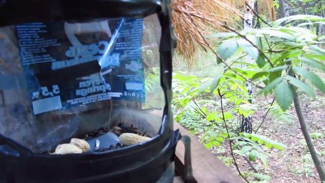 Пятизвёздочный отель для птиц и белок смотреть онлайн