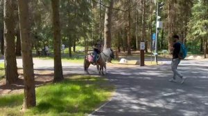Лесопарк «ШИШКИН ЛЕС» продолжает радовать жителей и гостей городского округа Истра