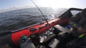 Рыбалка на море (Рыбинское водохранилище) 2019 август