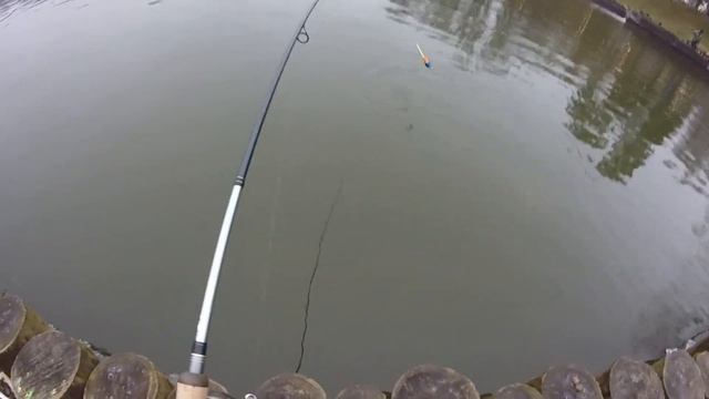 Ловим Форель на бомбарду и резину TROUT ZONE смотреть онлайн