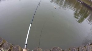 Ловим Форель на бомбарду и резину TROUT ZONE