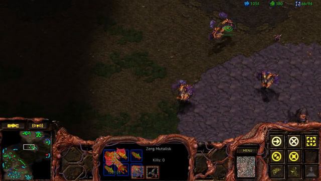 Сэр Троглодит и 2kxaoc. Старкрафт (Starcraft)