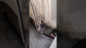 Рено Логан чем остановить ржавчину?