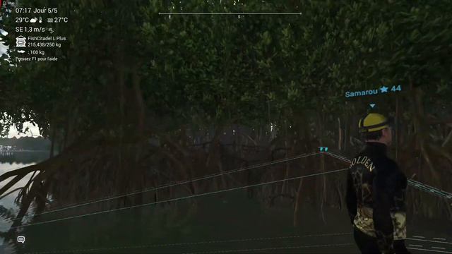 TUTO fishing planet : Péché tarpon avec rituel chamanique смотреть онлайн