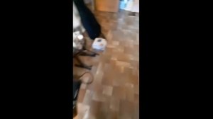 Выбираю кромочный фрезер