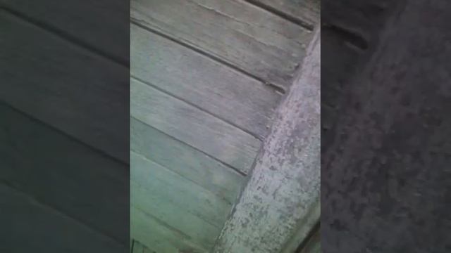 Я на даче ч.1