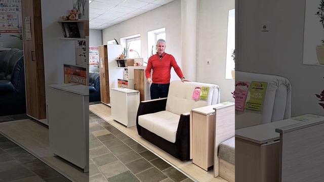 Диван-аккордеон 21750 р. Дельфика Дмитров. Доставим за 3 дня! #дмитров #дельфика #дмитровскийрайон смотреть онлайн