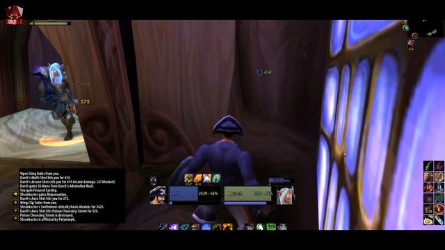 TAMANHOOR ? | WOW CLASSIC PVP (Elemental Shaman) смотреть онлайн