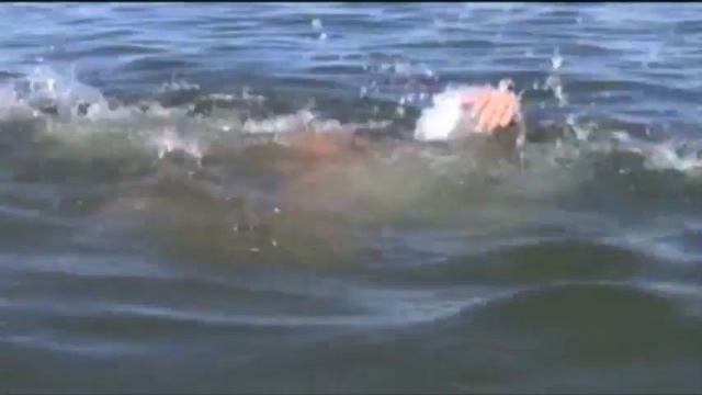 Испытано на себе. Спасаем утопающего смотреть онлайн