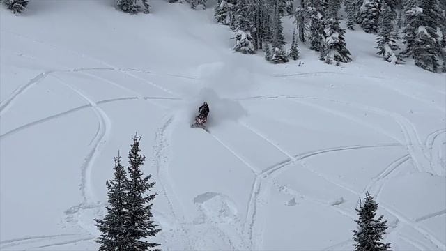 2023 Lynx Shredder VS 2023 Summit Expert | How do they compare? смотреть онлайн