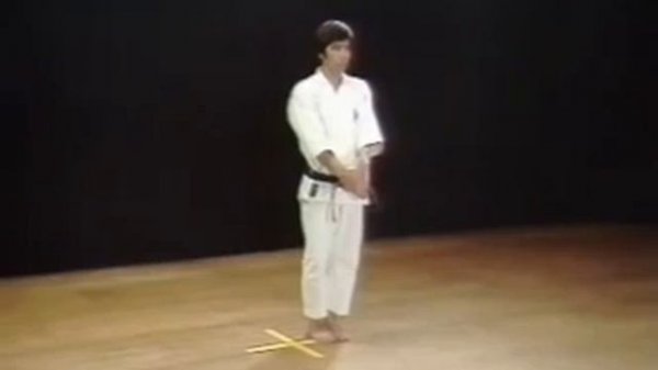 SHOTOKAN KARATE STYLE ALL 26 KATA