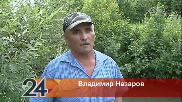 В Набережных Челнах зарегистрирован массовый мор рыбы на реке Шильна смотреть онлайн
