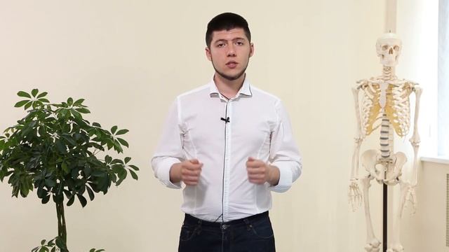 Функциональные техники в остеопатии и мануальной терапии