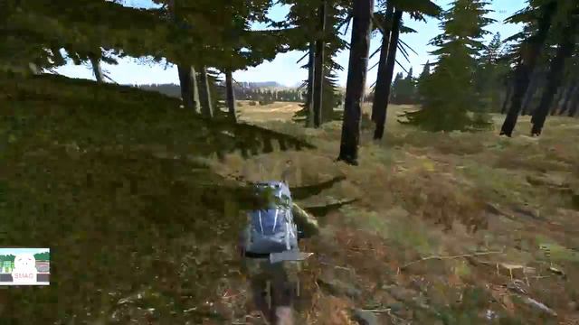 pvp dayz standalone dodgy as hell gameplay!!!!!!!!!!! смотреть онлайн