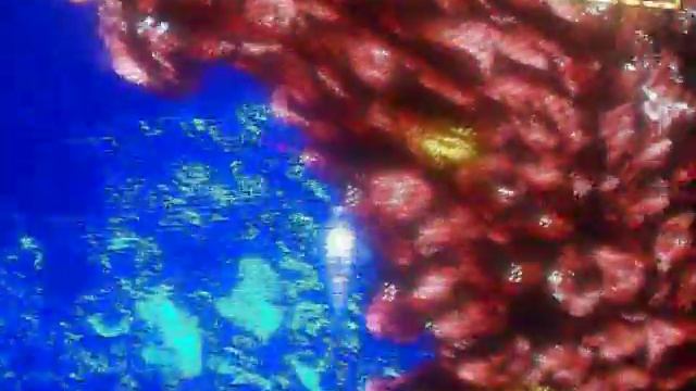 Ecco Jr. Playthrough 4/8 смотреть онлайн