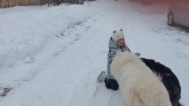 Зимняя сказка. Лес, белый Мишка. Саша читает стихи Пушкина: "В зимние сумерки нянины сказки..." смотреть онлайн