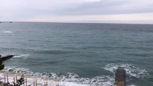 Парк санатория «Айвазовское». Партенит. Крым. Часть 1. Январь 2020. смотреть онлайн