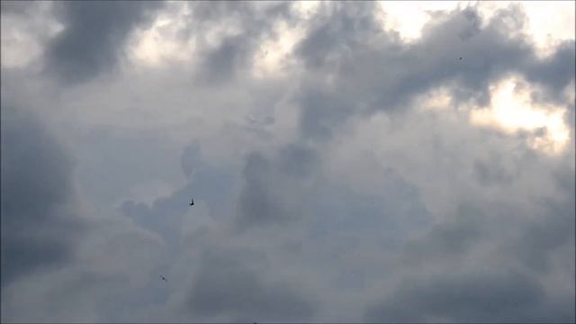 Техника релаксации и визуализации "погружение в детство" смотреть онлайн