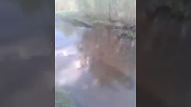 едем на рыбалку на уазике через размытую плотину смотреть онлайн