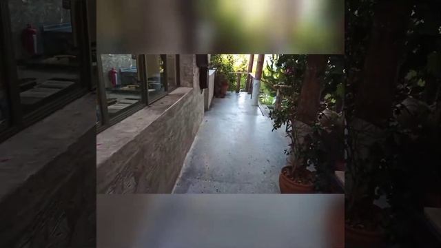 Club Marvy Restaurant Tour | Snackbar | à la carte Restaurants | Cocktails смотреть онлайн