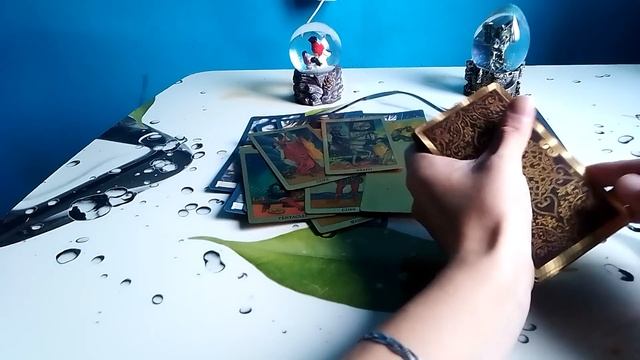 что ждёт куриц