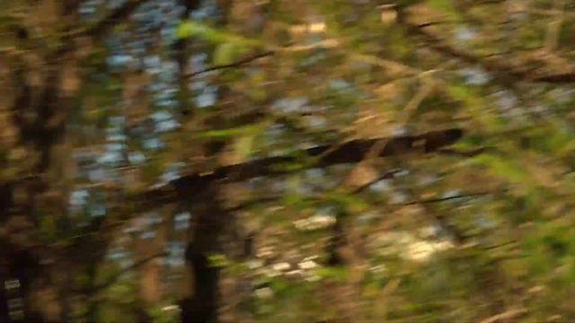 ВЫГОРАНИЕ / Роман Юнеман и Никита Тараторин смотреть онлайн